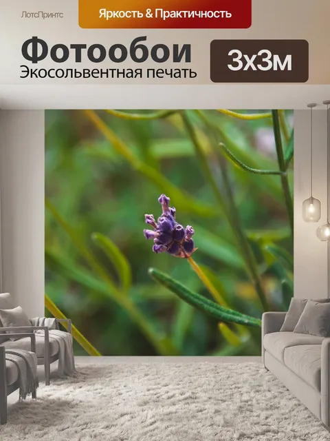 Фотообои Лаванда