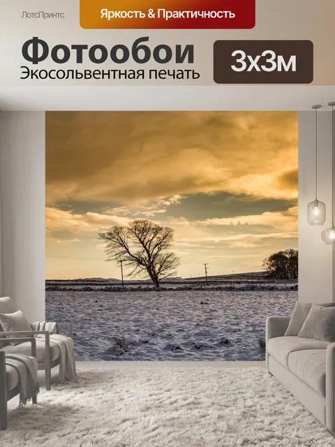 Фотообои Зимний закат