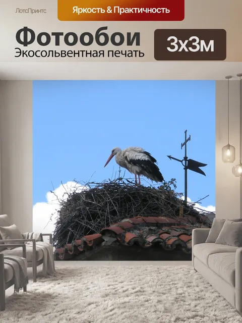 Фотообои Аист