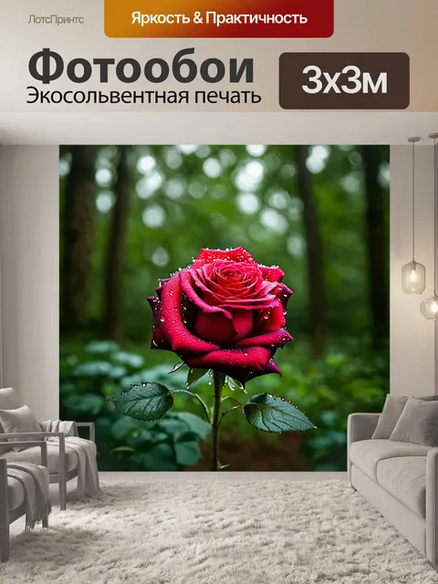 Фотообои роза с каплями дождя на лепестках в лесу