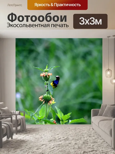 Фотообои Природа