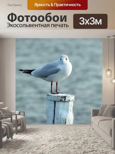Фотообои Море
