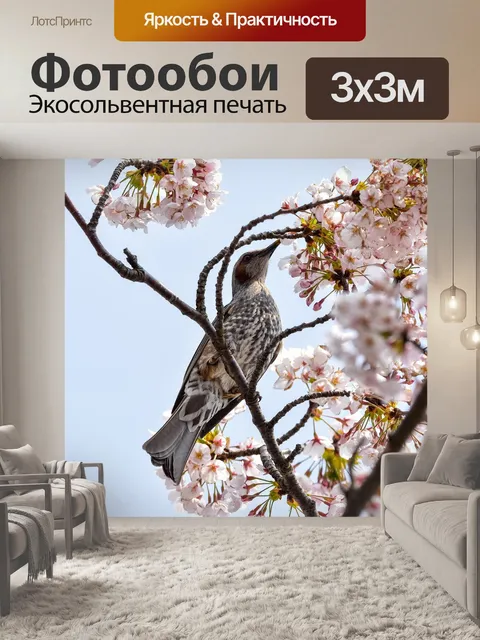 Фотообои Животное