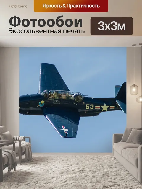 Фотообои Военная птица