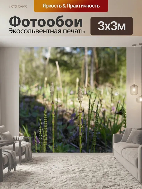 Фотообои Природа