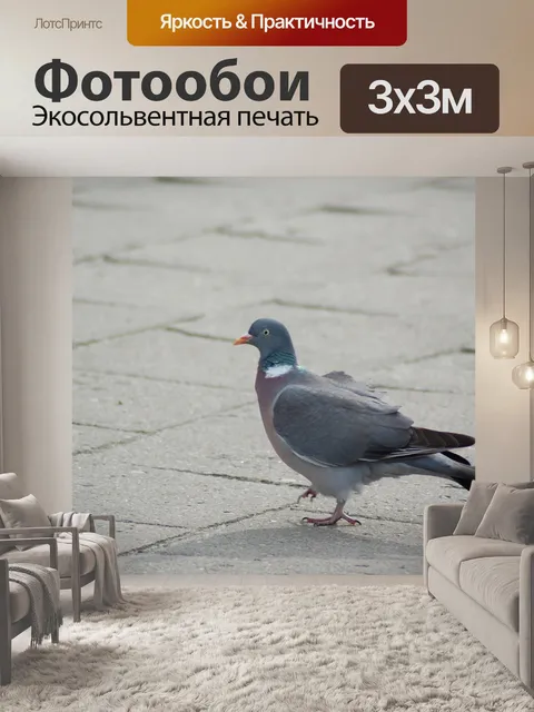 Фотообои Птицы