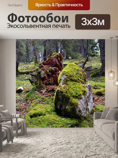 Фотообои Камень