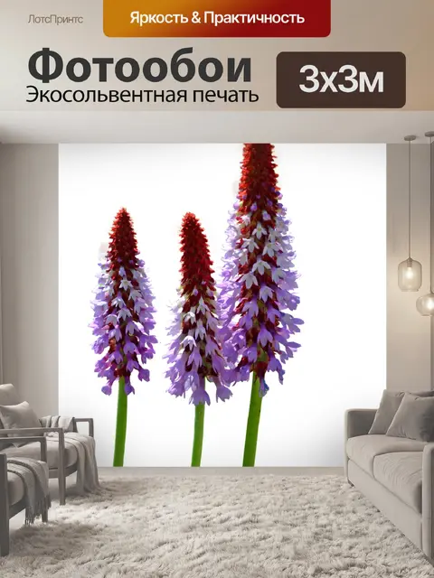 Фотообои Полевые цветы