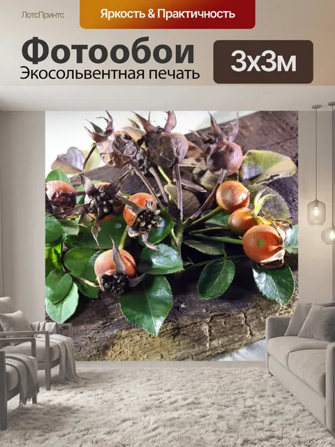 Фотообои оранжевый шиповник с листвой