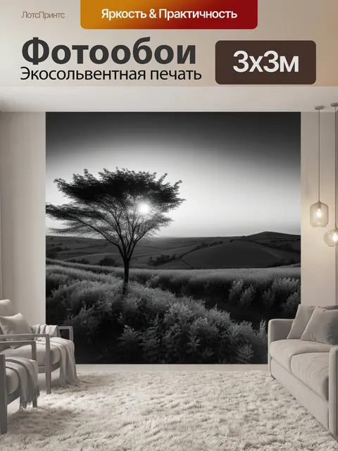 Фотообои пейзаж с природой закат чернобелый