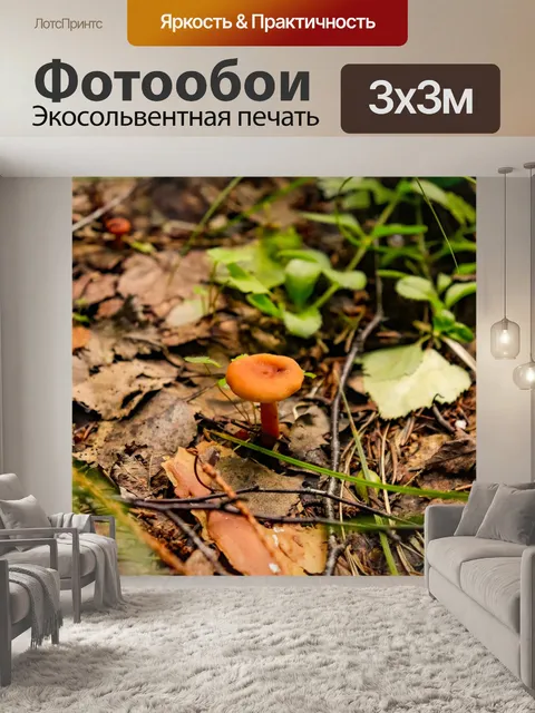 Фотообои Лес