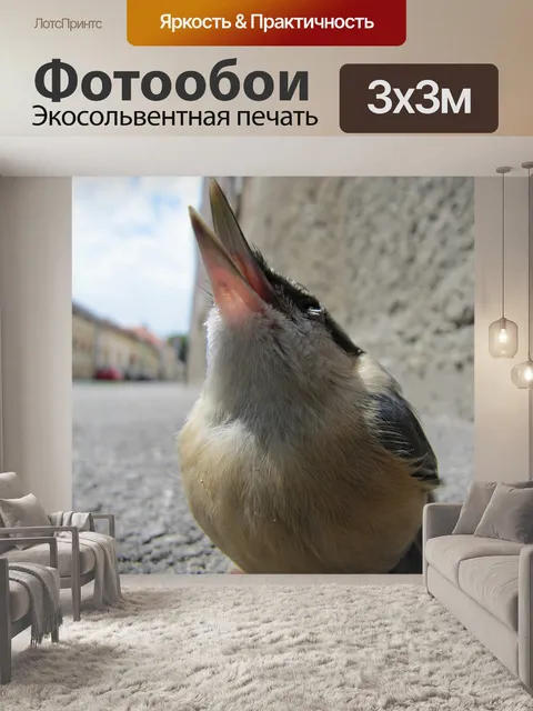 Фотообои Птица