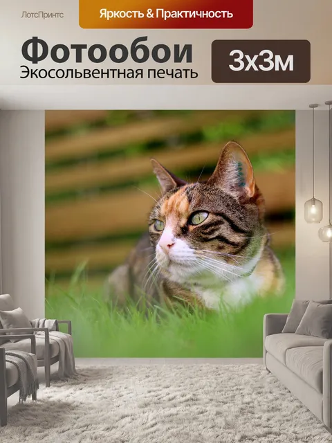 Фотообои Кошка