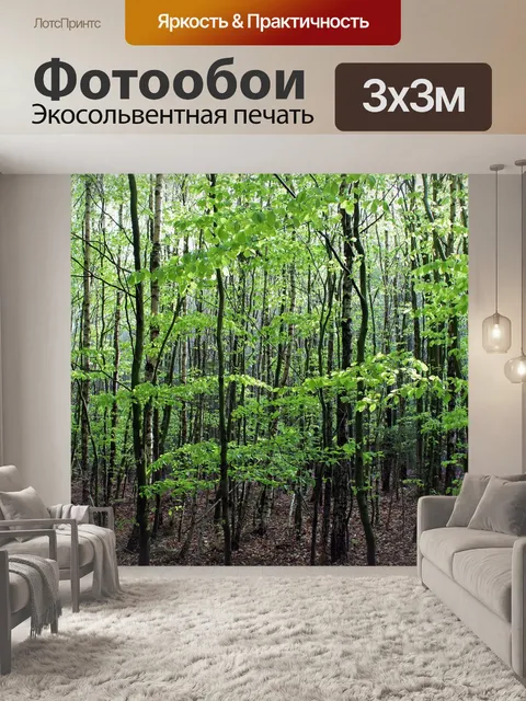 Фотообои Лес