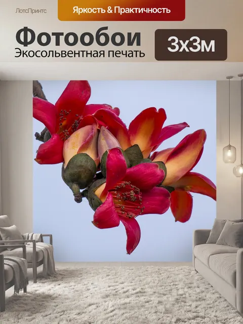 Фотообои Цветы