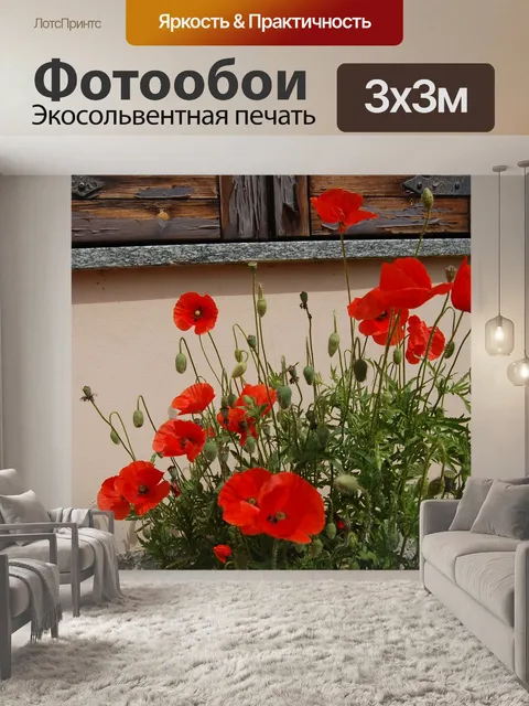 Фотообои Цветы