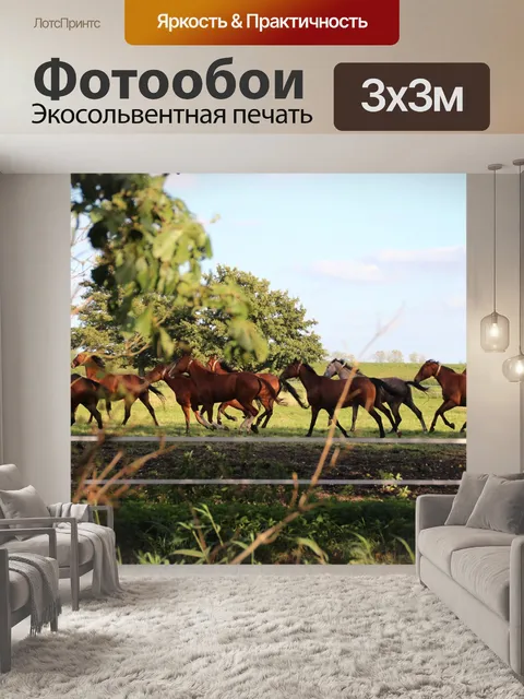 Фотообои Лошади