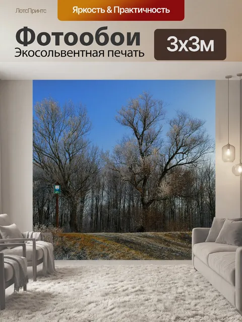 Фотообои Деревья