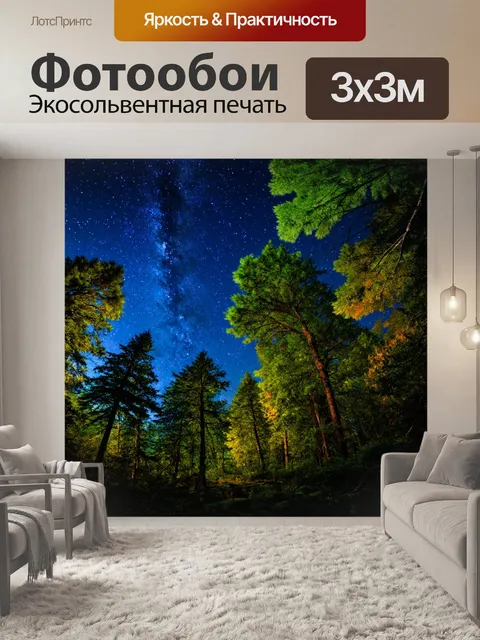 Фотообои лес с множеством способов увидеть ночное небо