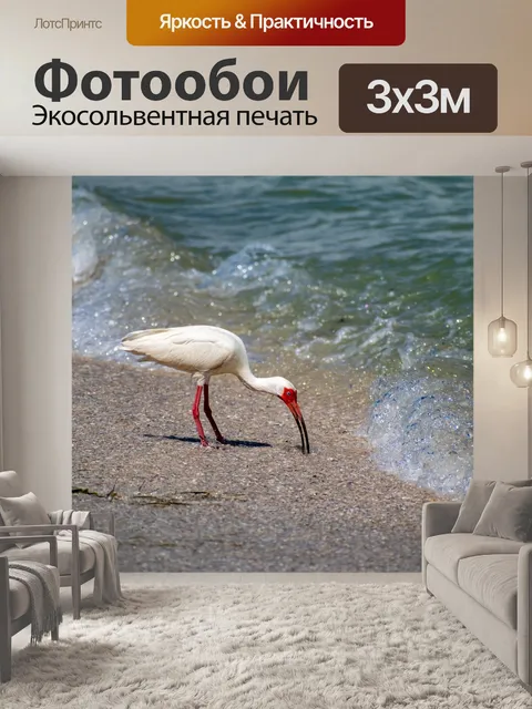 Фотообои Птица