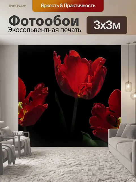 Фотообои Тюльпаны