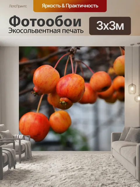 Фотообои Красные яблоки осенью