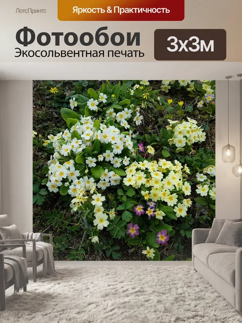 Фотообои Цветы
