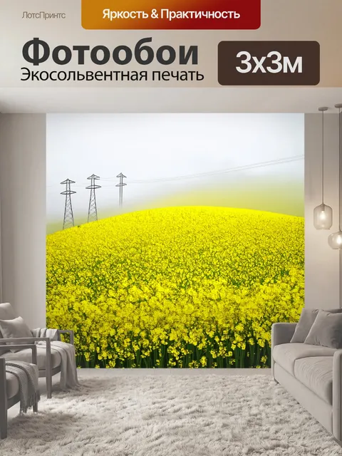 Фотообои поле с рапсом, высаженным на возвышенности, окруженное электропередачами и облаками, затянутыми туманом