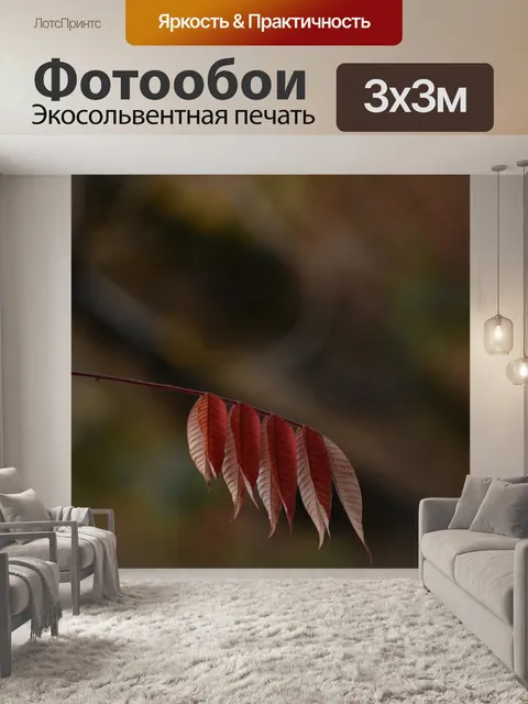 Фотообои Осень
