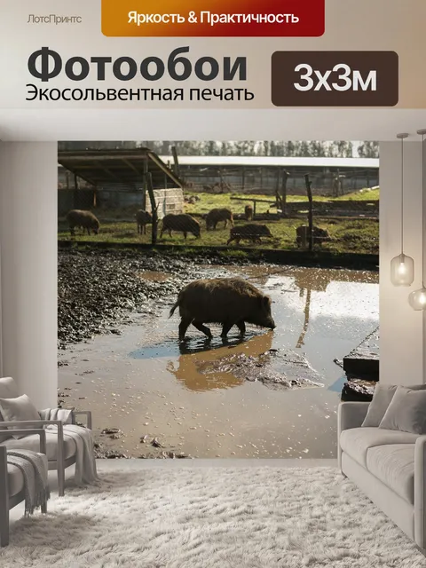 Фотообои Дикая свинья