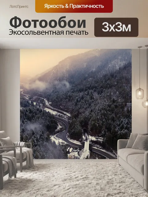 Фотообои Черный лес