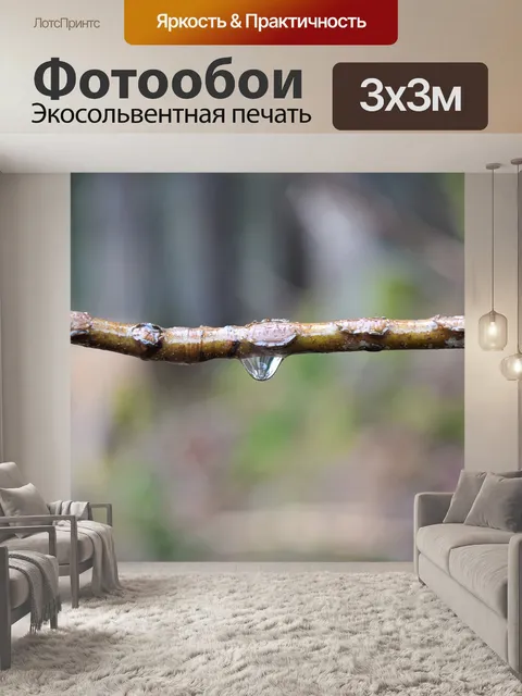 Фотообои Лес