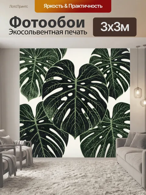 Фотообои Листья монстеры и филодендрон