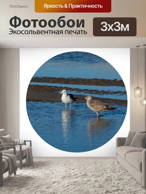 Фотообои две чайки