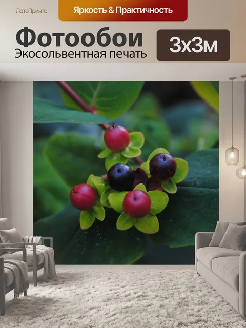 Фотообои Ягоды