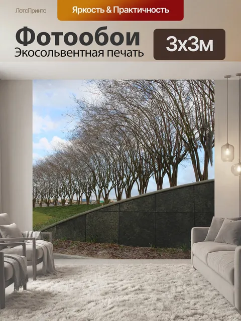 Фотообои Деревья