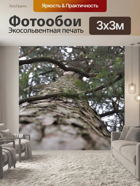 Фотообои Ель
