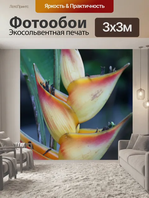 Фотообои Коста-Рика Цветы Райская птица