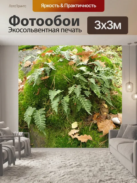 Фотообои Папоротник