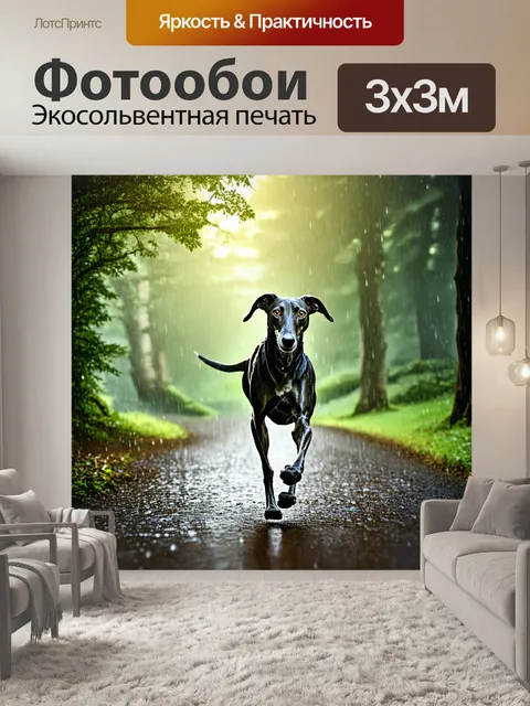 Фотообои изображение борзой, скачущей по лесной тропинке во время дождя, когда капли воды сверкают на солнце
