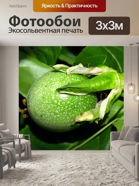 Фотообои Цветок маракуйи фото