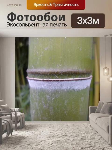 Фотообои Бамбук, соломенная растительность 08