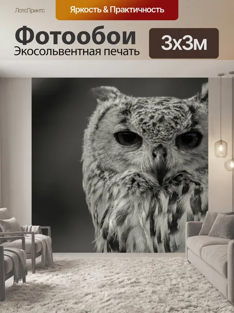 Фотообои Черно-белый