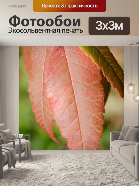 Фотообои Коричневый лист
