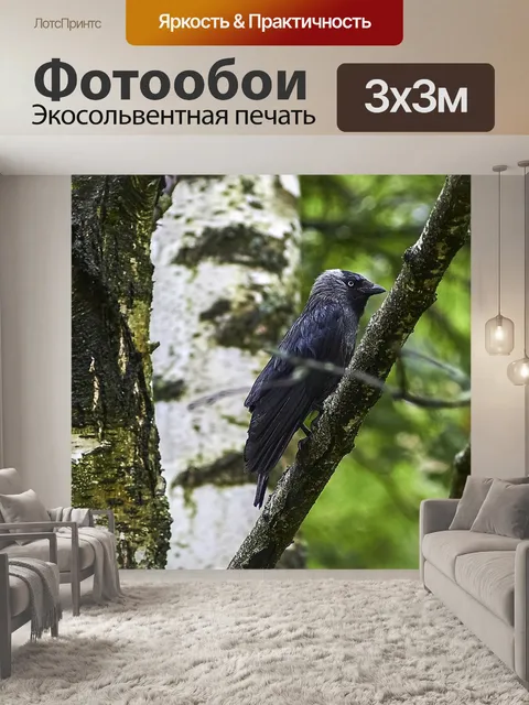Фотообои Птица