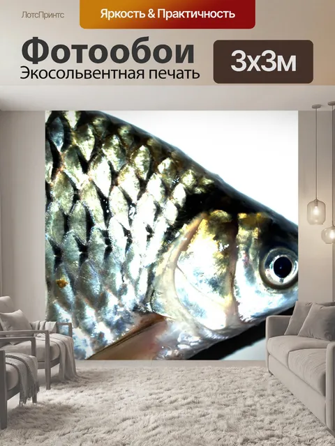 Фотообои Пресноводная рыба фото
