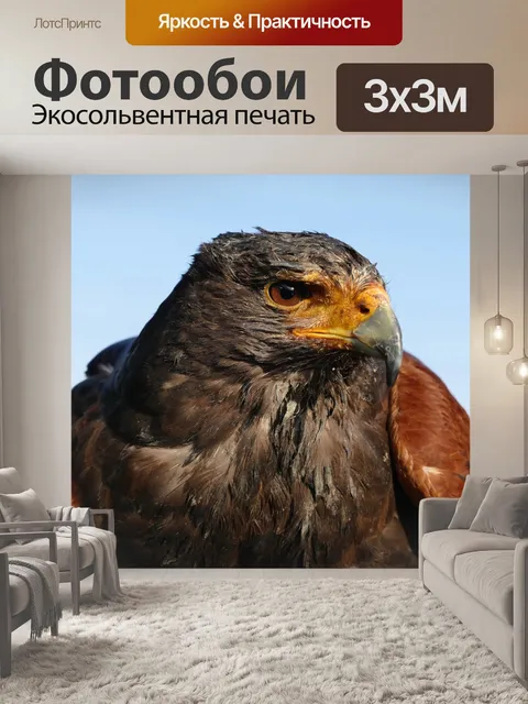 Фотообои Птицы