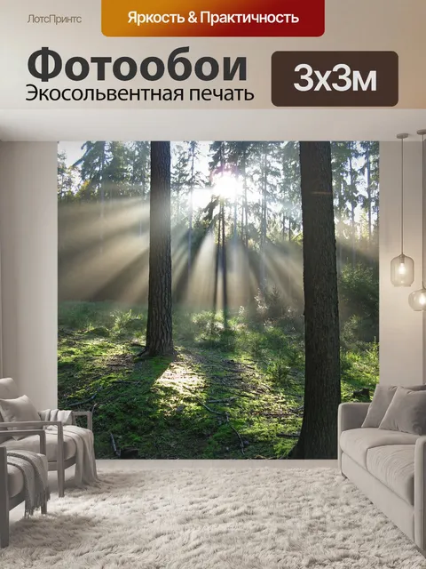 Фотообои Лес