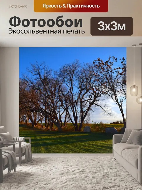 Фотообои Деревья