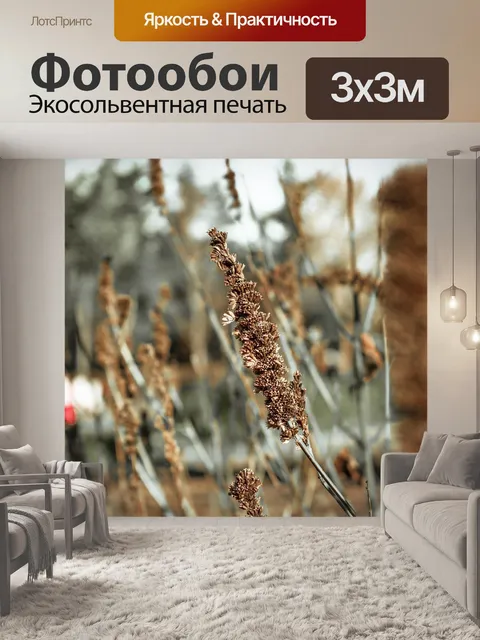 Фотообои Цветы